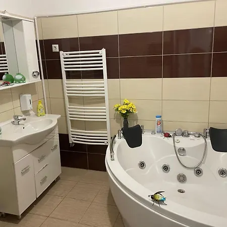 1 Bdrm With Jacuzzi In Old Town 公寓