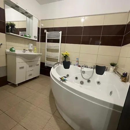 1 Bdrm With Jacuzzi In Old Town Bucharest